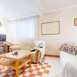 Apartment Miha Marusic
